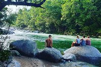 Afternoon Half-Day Daintree Rainforest and River Tour - Accommodation Bookings