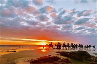 1 Hour Broome Sunset Camel Tour - Accommodation Mermaid Beach