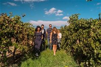Barossa Valley Private Tour from 2 to 11 people - Accommodation Mount Tamborine
