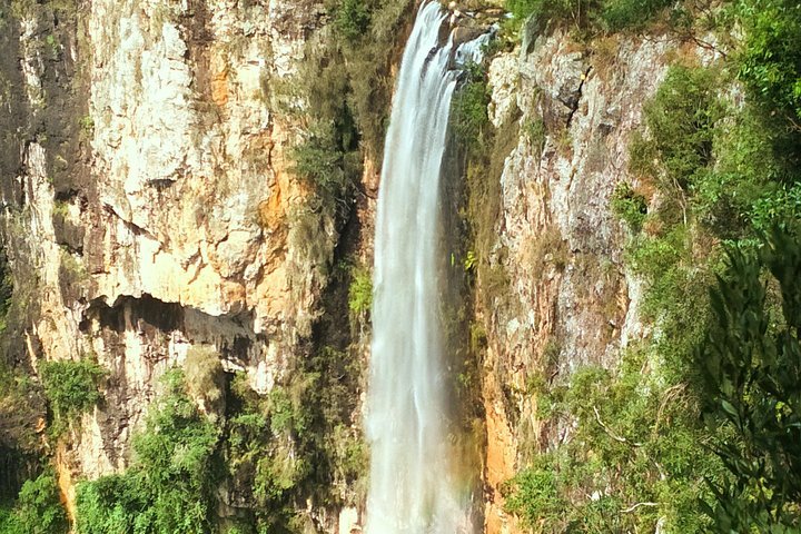 Private Tour - Rainforest  Waterfalls Extravaganza