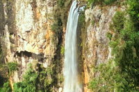 Private Tour - Rainforest  Waterfalls Extravaganza - Perisher Accommodation