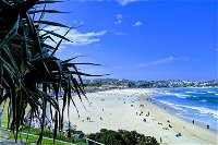 Sydney Secrets  Bondi Private 4 Hour Afternoon with 'Personalised Sydney Tours' - Accommodation Find