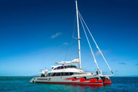 Passions of Paradise Great Barrier Reef Snorkel and Dive Cruise from Cairns by Luxury Catamaran - QLD Tourism