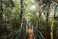 O'Reilly's  Lamington National Park from Gold Coast - QLD Tourism