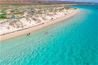 Ningaloo in a Day - Full Day Hike and Snorkel Tour with Lunch - Accommodation Bookings