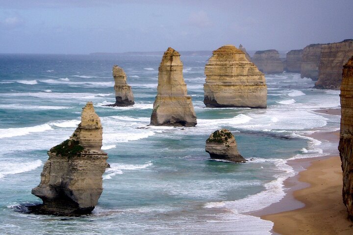 LGBT Friendly 2 Day Private Tour Great Ocean Road  Phillip Island