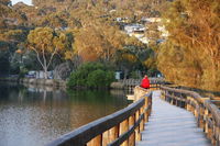 LGBT Friendly 3 Day Private Tour Great Ocean Road  Phillip Island - Accommodation Tasmania