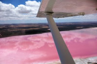 70-minute Pink Lake Scenic Flight - Accommodation Tasmania