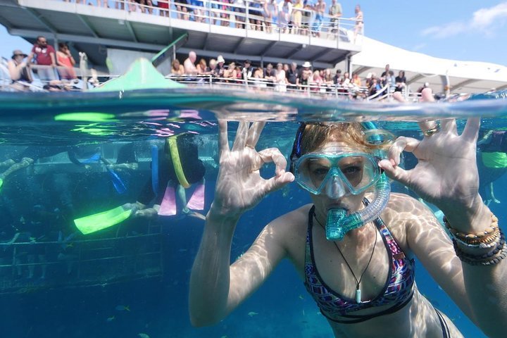 Great Barrier Reef Day Cruise from Cairns Including Snorkeling and Marine Biologist Presentation