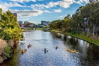 Adelaide City Kayak Tour - Accommodation Mount Tamborine