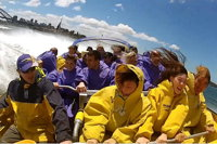 30-Minute Sydney Harbour Jet Boat Ride Thunder Twist - Accommodation Mermaid Beach