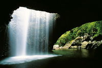 Natural Bridge  Springbrook Waterfalls Tour - Accommodation Tasmania