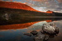 Cradle Mountain Private Charter Service - Accommodation Tasmania