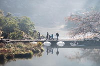 3.5 Hours Walking Tour to Cataract Gorge with Local Guide, Launceston