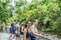Cape Tribulation Mossman Gorge and Daintree Rainforest Day Trip from Cairns or Port Douglas - Accommodation Bookings