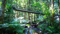 Double Pack-Ancient Rainforest and Waterfalls - Australia Accommodation