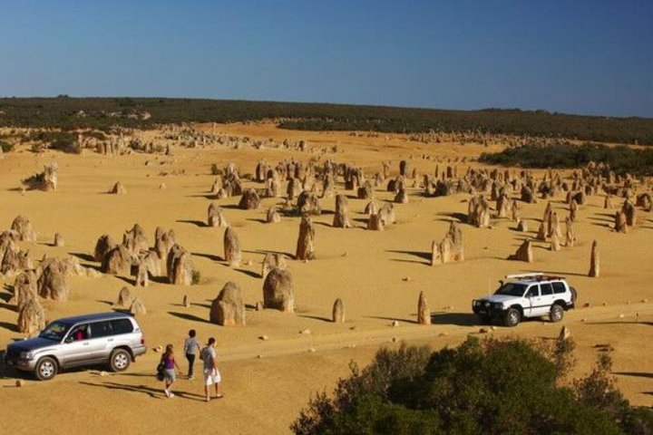 1-Day Pinnacles and Yanchep Tour from Perth including Fish and Chips Lunch