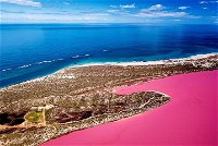 Pink Lake Small-Group Buggy Tour - Port Augusta Accommodation