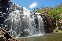 Grampians National Park Small-Group Eco Tour from Melbourne - Accommodation Yamba