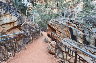 West MacDonnell Ranges Half-Day Private Charter Guided Tour