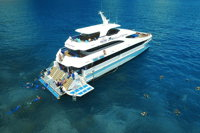 Great Barrier Reef Scenic Helicopter Tour and Cruise from Cairns - Australia Accommodation