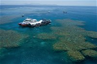 Cruise to Moore Reef Pontoon and Return Helicopter Flight from Cairns - QLD Tourism