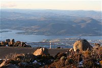 Mt. Wellington Bonorong and Richmond Day Tour from Hobart - Accommodation Broken Hill