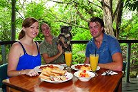 Breakfast with the Koalas at Hartley's Crocodile Park from Cairns or Palm Cove - Accommodation Port Hedland