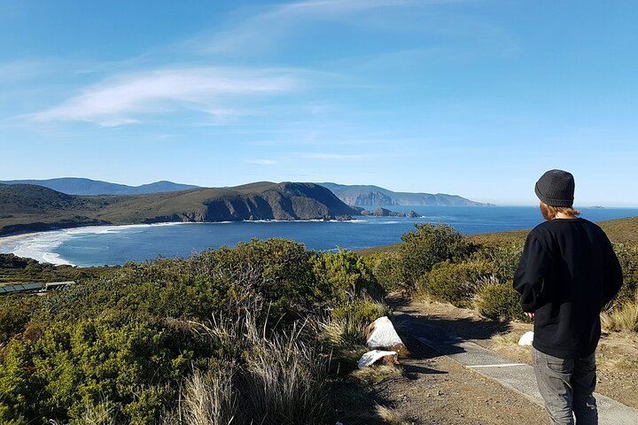 4-Day Fabulous Tasmania Tour Wineglass Bay Port Arthur Devils  Bruny Island