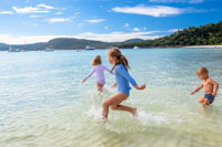 Whitehaven Beach Half-Day Cruises - Accommodation Port Macquarie