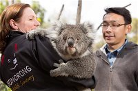 Bonorong Wildlife Park and Richmond Afternoon Tour from Hobart - Accommodation Broken Hill