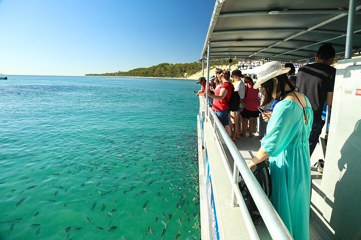 Adventure Moreton Island Wrecks Adventure Package - thumb 1