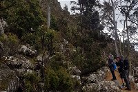 kunanyi / Mt. Wellington Guided Hiking Tour, Hobart