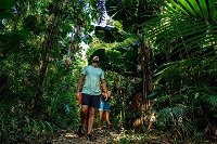 Full Day Daintree Rainforest and Mossman Gorge Tour - Australia Accommodation
