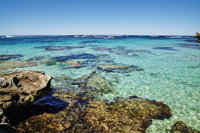 Seaplane Flights Perth to Rottnest Island and return - Accommodation Noosa