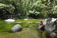 Daintree Dreaming Traditional Aboriginal Fishing from Cairns or Port Douglas - WA Accommodation