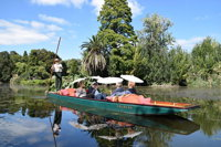 Melbourne Gardens and Days Gone By Private Tour - WA Accommodation