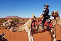 Uluru Small-Group Tour by Camel at Sunrise or Sunset - Accommodation Mermaid Beach