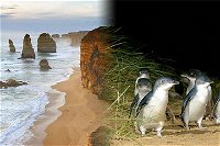 Melbourne Super Saver Great Ocean Road  Phillip Island  Attraction Pass - WA Accommodation