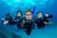 Great Barrier Reef Diving and Snorkeling Cruise from Cairns - QLD Tourism