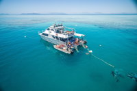Ocean Freedom Great Barrier Reef Personal Luxury Snorkel  Dive Cruise Cairns - QLD Tourism