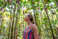 5 Day Australia Retreat Queensland Daintree - Broome Tourism