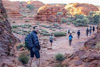 6 Day Red Centre Explorer with Accommodation - Accommodation NT