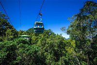 Classic Kuranda by Skyrail and Scenic Railway Including Rainforestation Koala and Wildlife Park and Pamagirri Aboriginal Experi - Accommodation Mount Tamborine