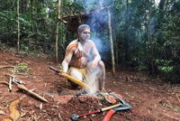 Kuranda Highlights including Rainforestation Aboriginal Culture and Wildlife - Accommodation Cooktown
