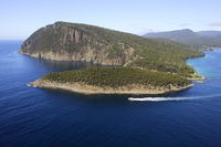 3-Hour Bruny Island Cruise from Adventure Bay Bruny Island - Timeshare Accommodation