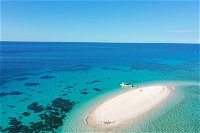 Ocean Safari Great Barrier Reef Experience in Cape Tribulation - Hervey Bay Accommodation