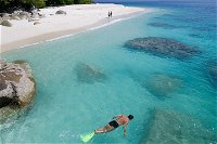 Fitzroy Island Day Trip from Cairns - Accommodation Bookings