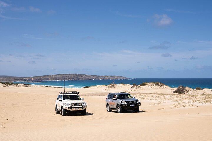 3 Day Port Lincoln and Coffin Bay Private Tour