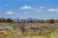 Overnight Uluru Ayers Rock Small-Group Camping Tour - Accommodation NT